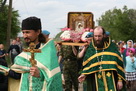   2009 