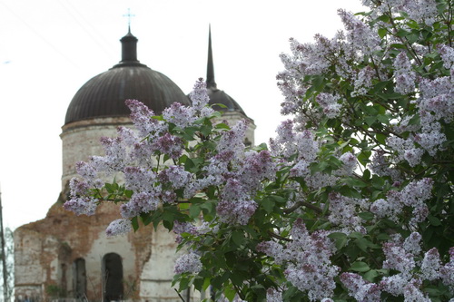 2007